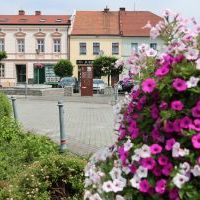 Bieruński Szlak Historyczny etap III (2)