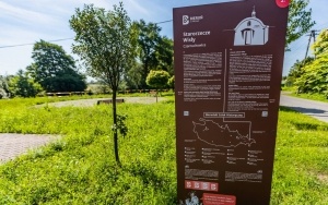 Czarnuchowice - starorzecze Wisły