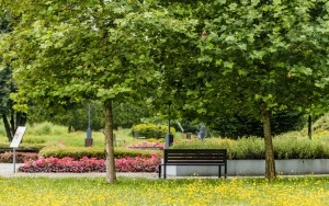 Bijasowice - dwór i arboretum