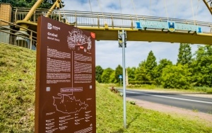 Bieruńska Grobla (Grobel) 